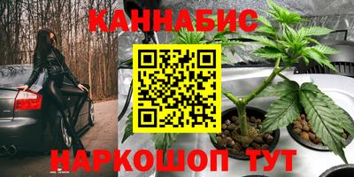 тгк Ставрополь