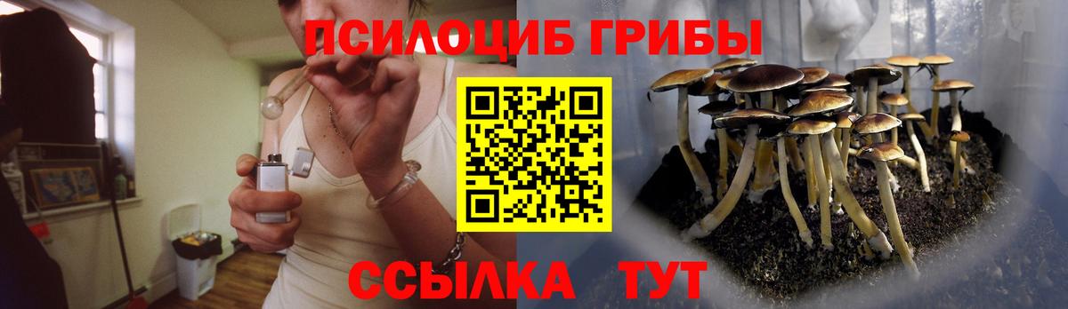 Полысаево  цена   Вход с VPN  Галлюциногенные грибы Psilocybe  Галлюциногенные грибы ЛСД 